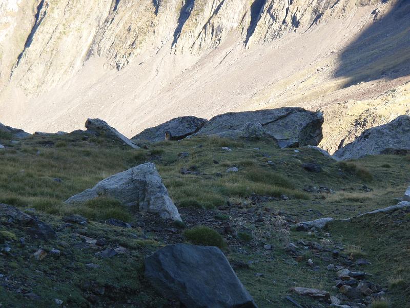 Pyrenees Day2 (30).jpg
